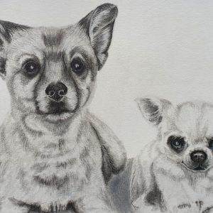 Pencil portrait of Googoo and Popeye