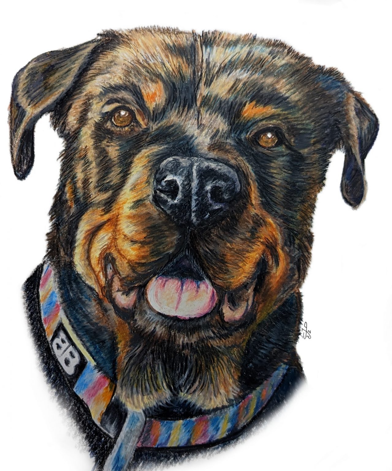 A completed pet portrait by Catherine Dalling