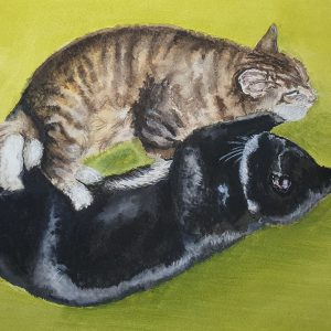 Graphite pet portrait